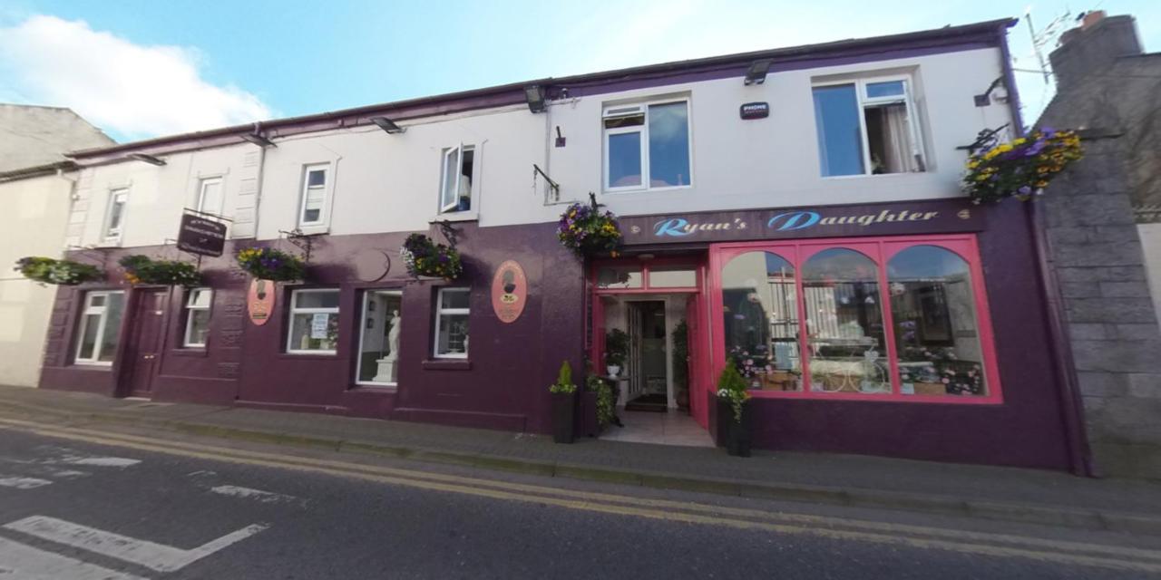Ryan'S Daughter B&B Thurles Exterior photo