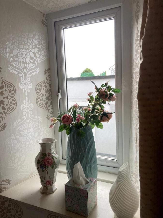 Ryan'S Daughter B&B Thurles Exterior photo